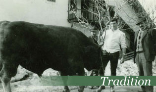 Traditionelle Metzgerei in Südtirol, Wurstwaren und Spezialitäten